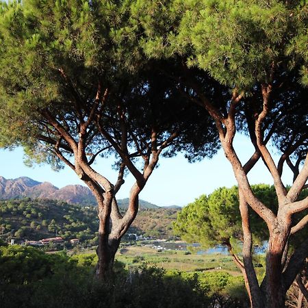 Appartamento Il Mandorlo Capoliveri  Exterior foto