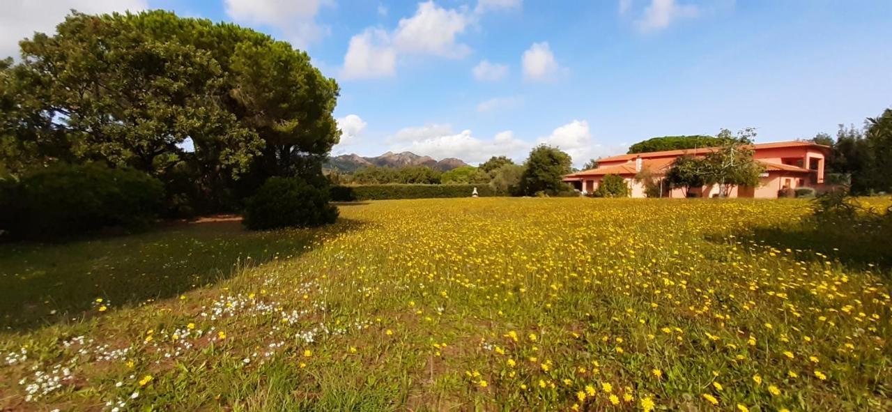 Appartamento Il Mandorlo Capoliveri  Exterior foto