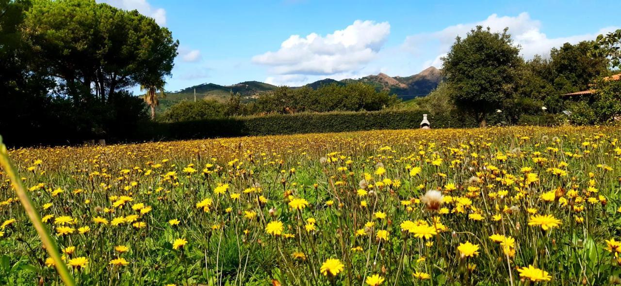 Appartamento Il Mandorlo Capoliveri  Exterior foto