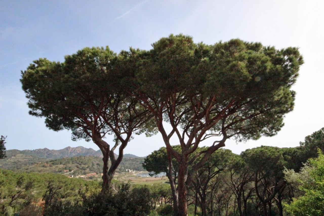 Appartamento Il Mandorlo Capoliveri  Exterior foto
